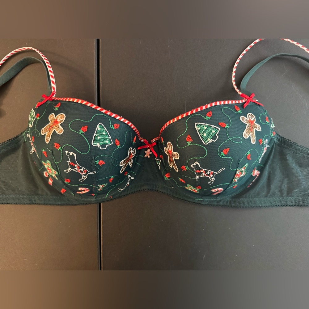 Victoria's Secret Pink Gingerbread Embroidery 36C